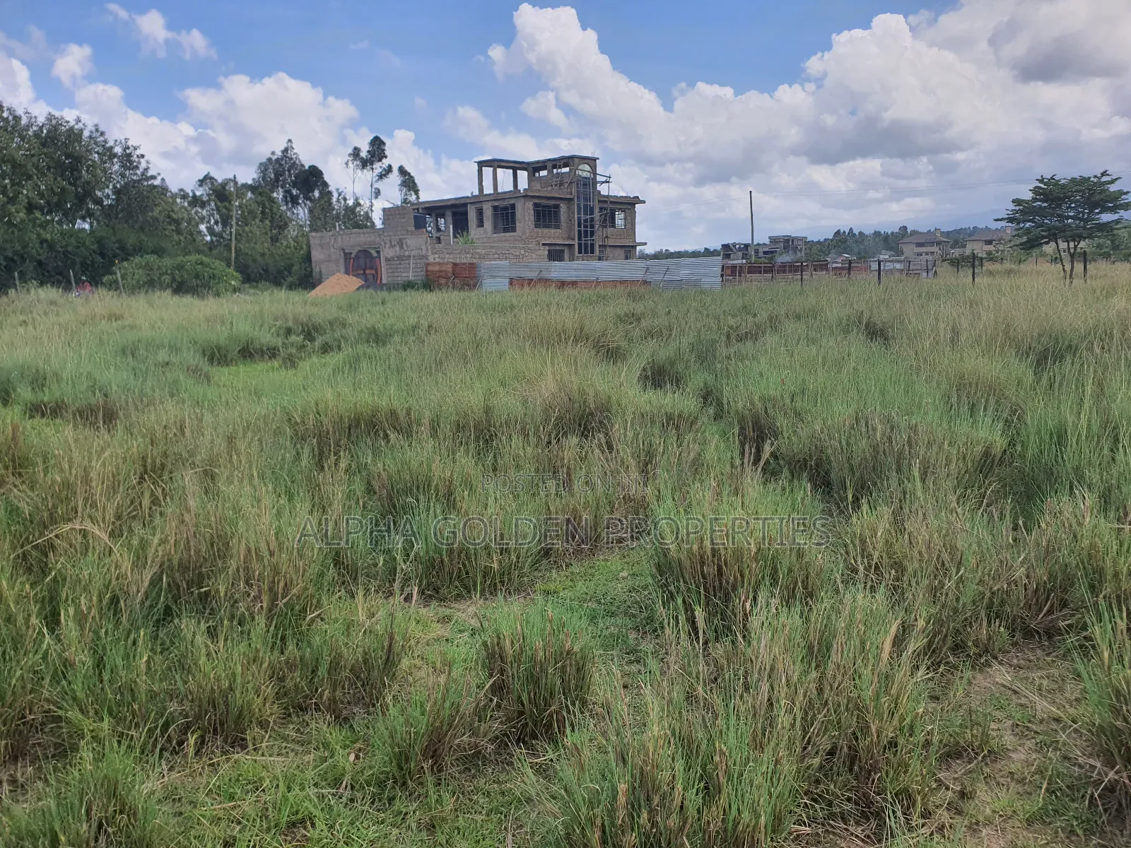 Nanyuki Airstrip Plots