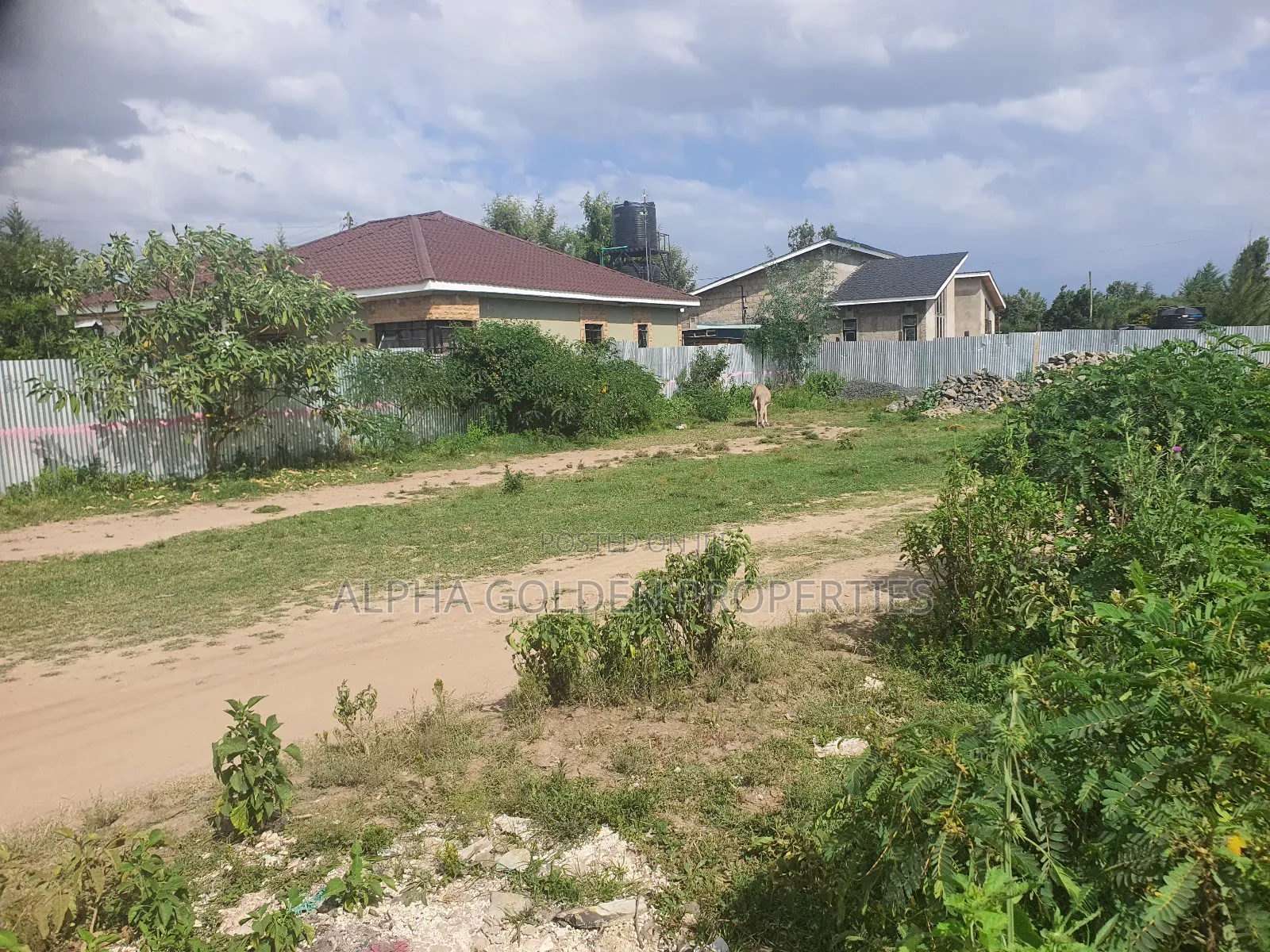 Nanyuki Commercial Plot