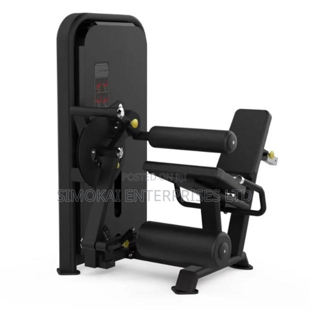 Leg Extension, Leg Curl And Flexion Training Commercial Machine