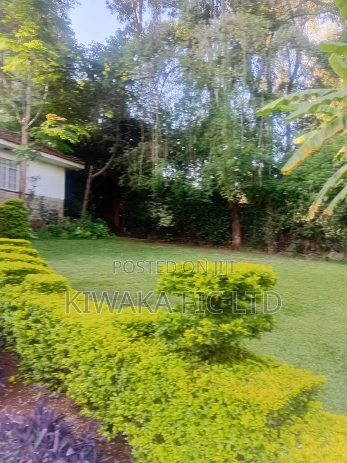 0.8 Acre Plot for Sale in Lavington