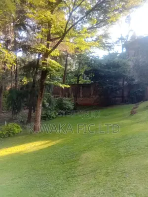 Half Acre Plot for Sale in Lavington