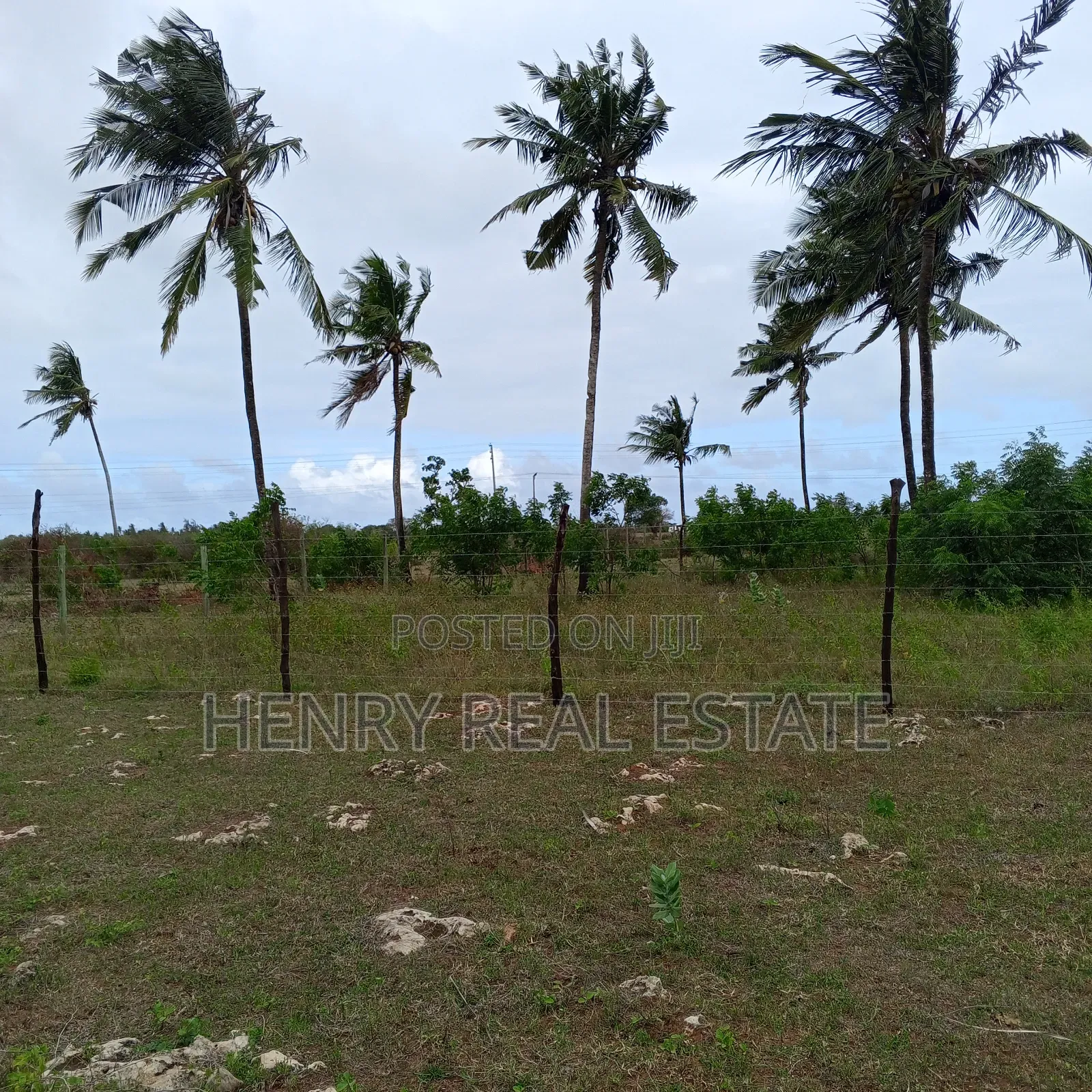 Kilifi Mtondia Highway Plots