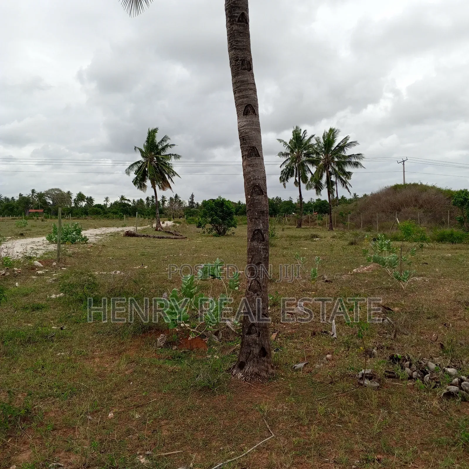 Kilifi Mtondia Highway Plots