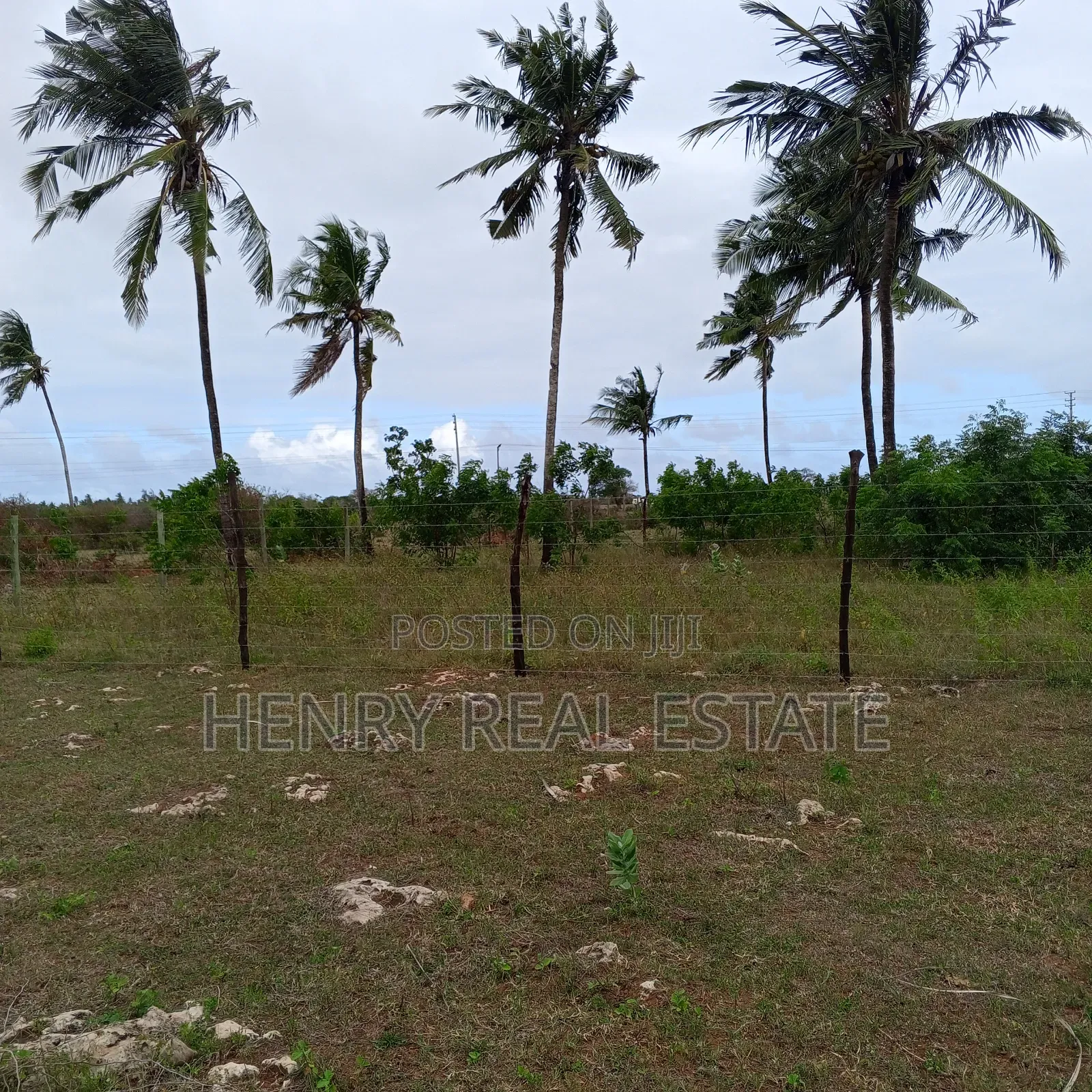 Kilifi Mtondia Highway Plots