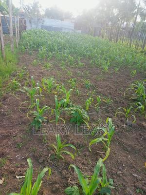 Plot 60 By 120 - thumbnail 2