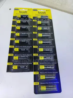 Set of 10pcs Budi Aaa Mercury-Free Alkaline Batteries.