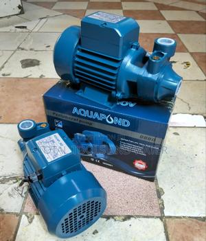 0.75kw Pedrollo 1hp Water Pump(1hp)