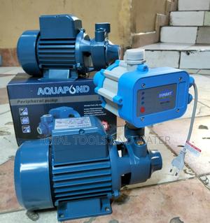 Stainless Aquapond Surface Pump1hp+ Pressure Control - thumbnail 2