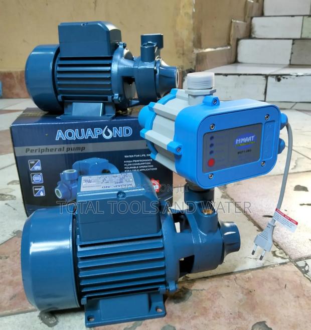 Stainless Aquapond Surface Pump1hp+ Pressure Control