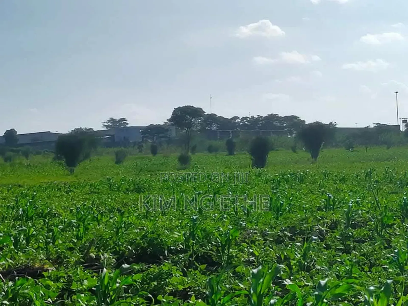 Prime 50 By 100 Plot Kabati (Metro Estate)