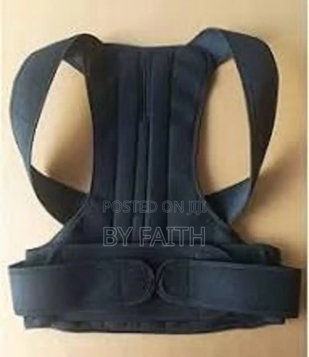 Back Support Waist Belt