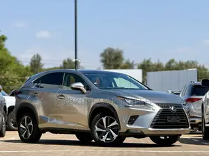 Lexus NX 300 FWD 2018 Silver