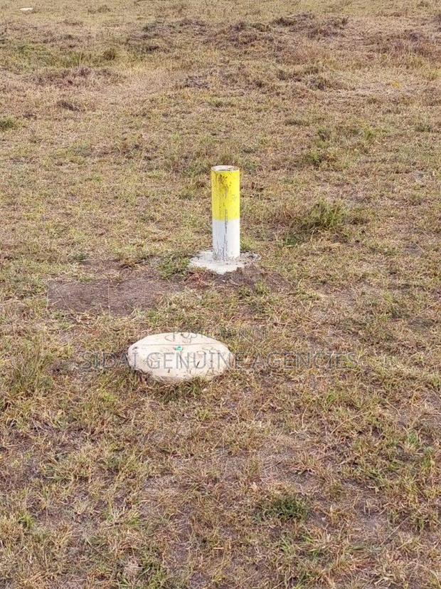 Great Gardens,Konza - thumbnail 2