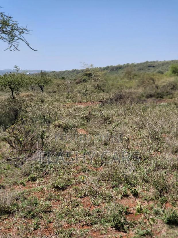 Land for Sale - thumbnail 5