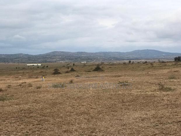 Great Gardens,Konza - thumbnail 3