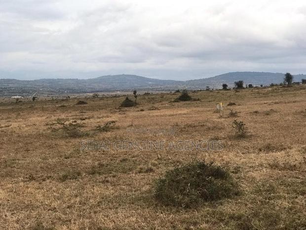 Great Gardens,Konza - thumbnail 4