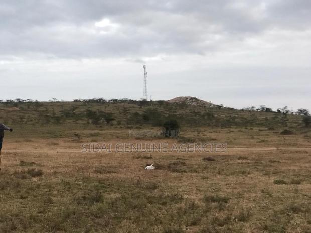 Great Gardens,Konza - thumbnail 5