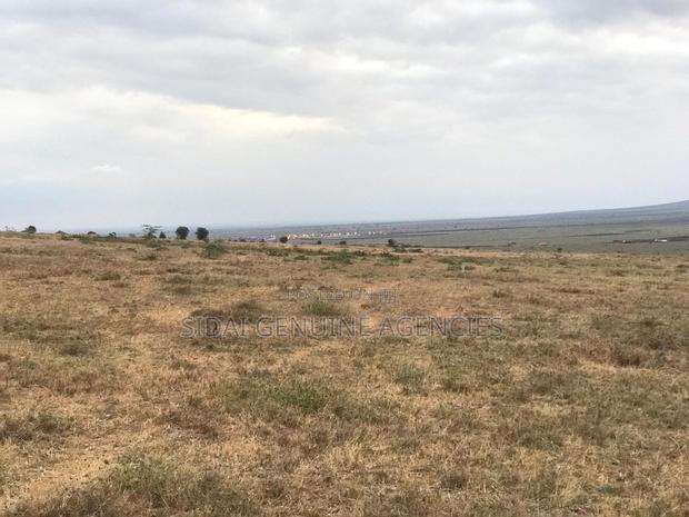 Great Gardens,Konza - thumbnail 7