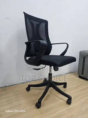 Executive Ergonomic Offices - Mesh Back