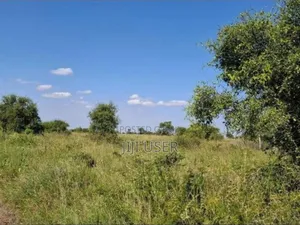 Plot for Sale in Isinya