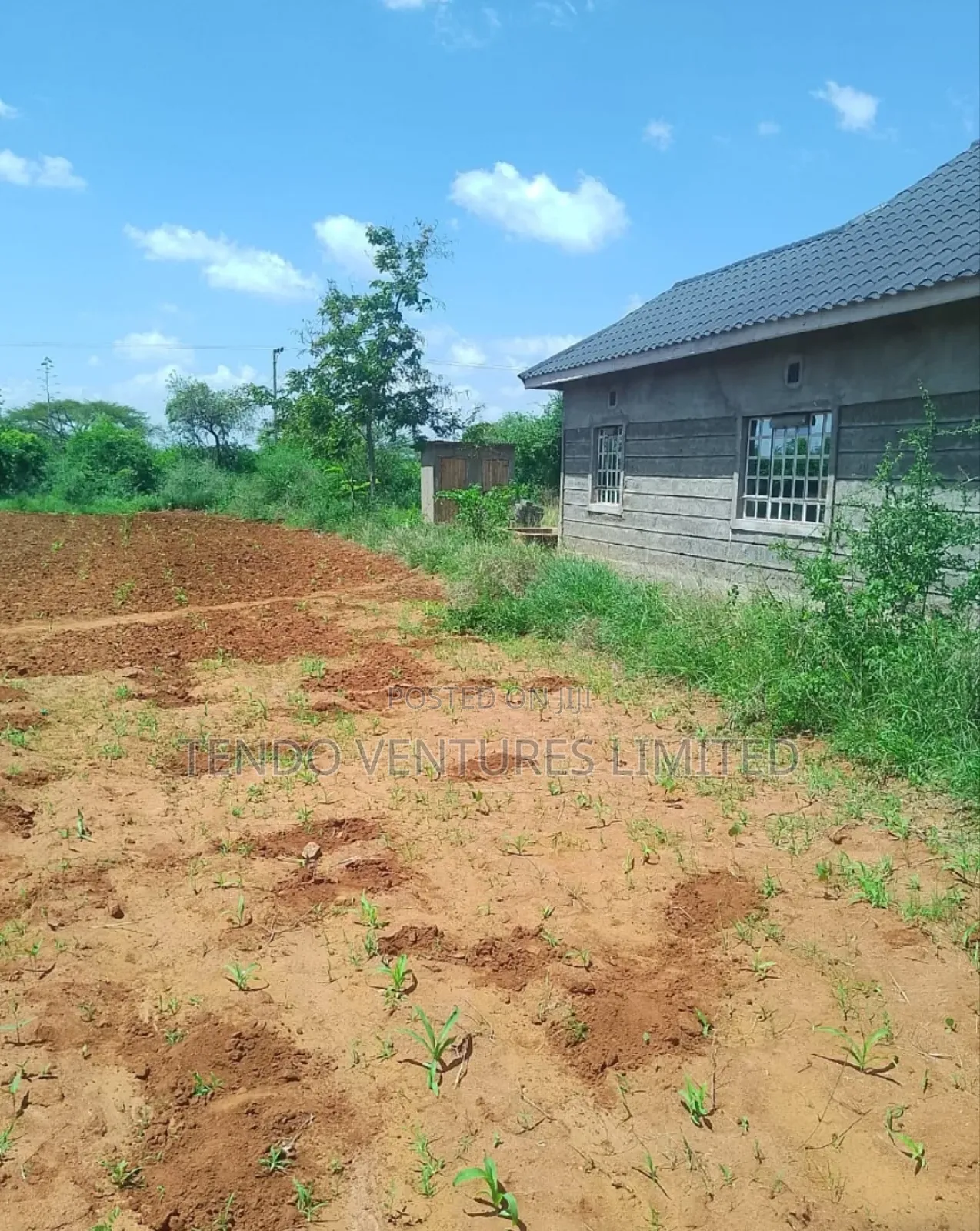 Tendo Ventures Limited