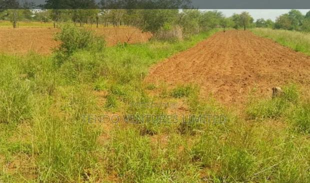 Tendo Ventures Limited - thumbnail 5