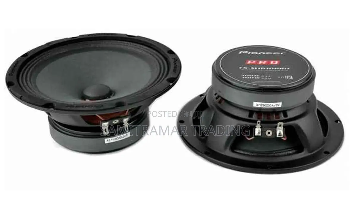 Ts-M1610pro Pioneer 6.5′′ Mid Bass Pro Driver
