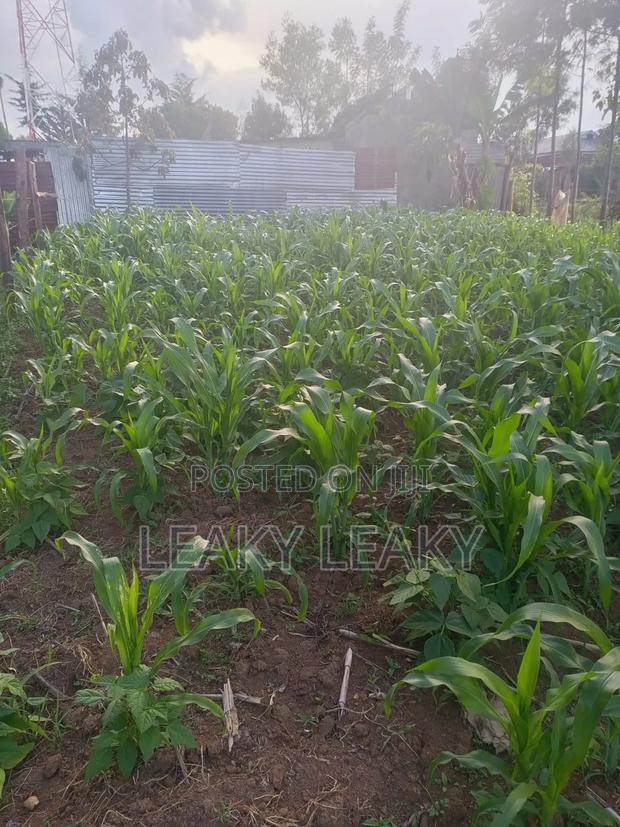 Plot 60 By 120 - thumbnail 3