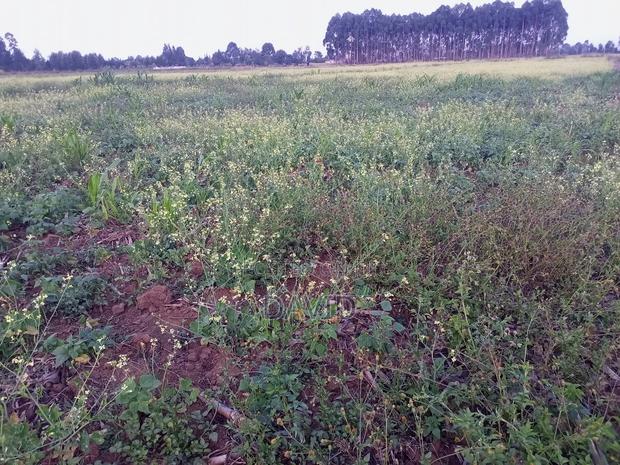 One Acre Land for Sale in Njoro - thumbnail 2