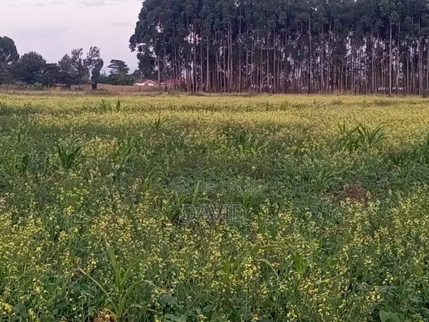 One Acre Land for Sale in Njoro - thumbnail 5