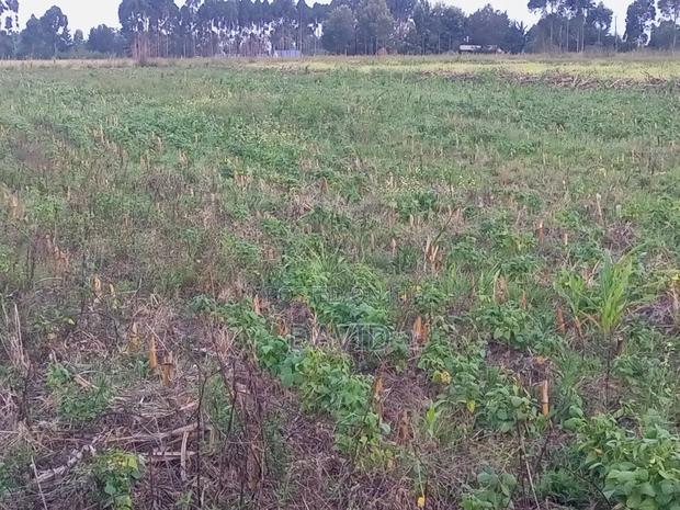 One Acre Land for Sale in Njoro - thumbnail 6