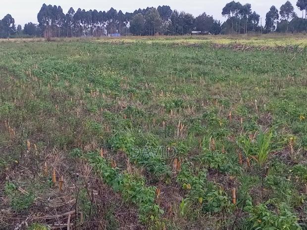 One Acre Land for Sale in Njoro - thumbnail 7