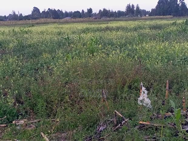 One Acre Land for Sale in Njoro - thumbnail 8