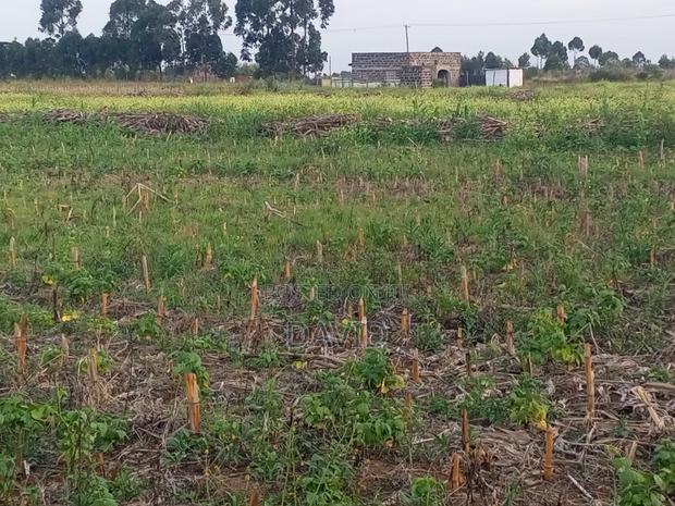 One Acre Land for Sale in Njoro - thumbnail 9
