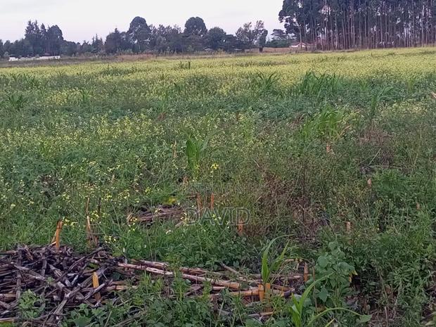 One Acre Land for Sale in Njoro - thumbnail 10