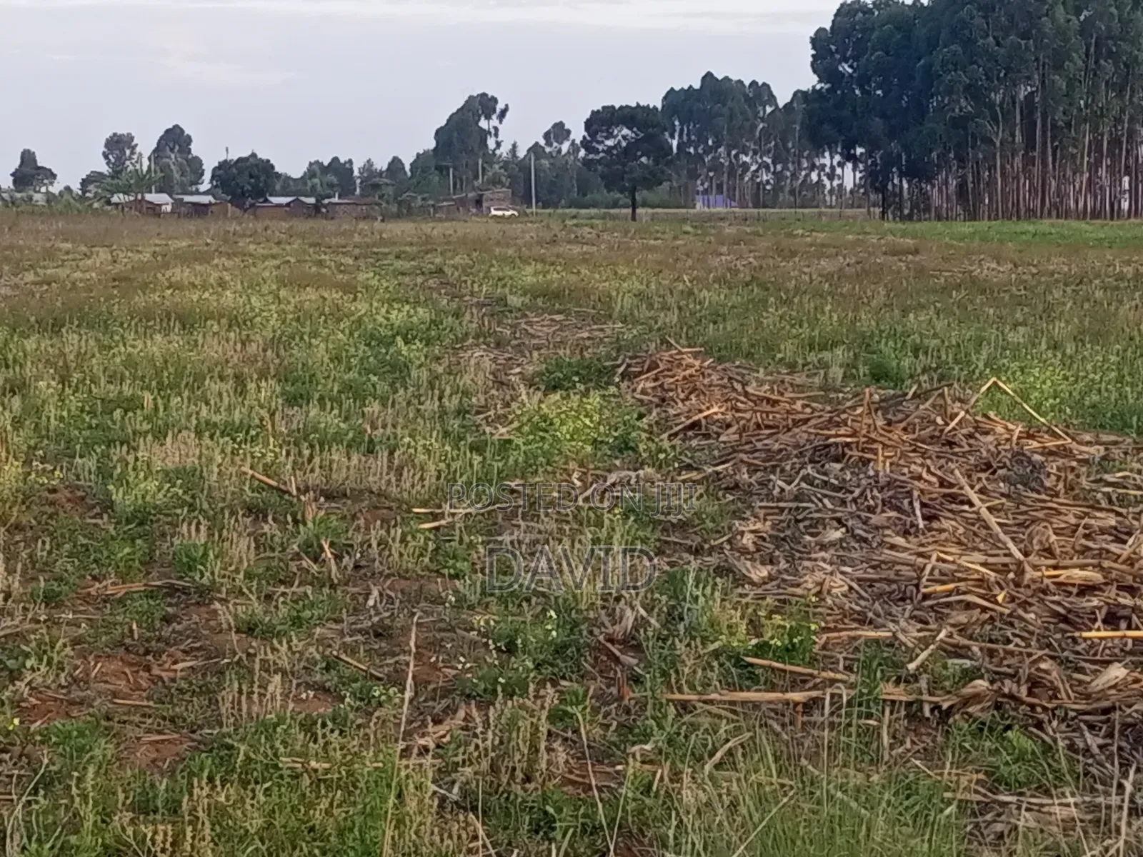 Land for Sale in Njoro Piave