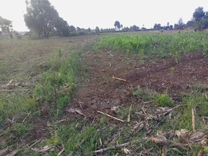 Land for Sale in Njoro Piave