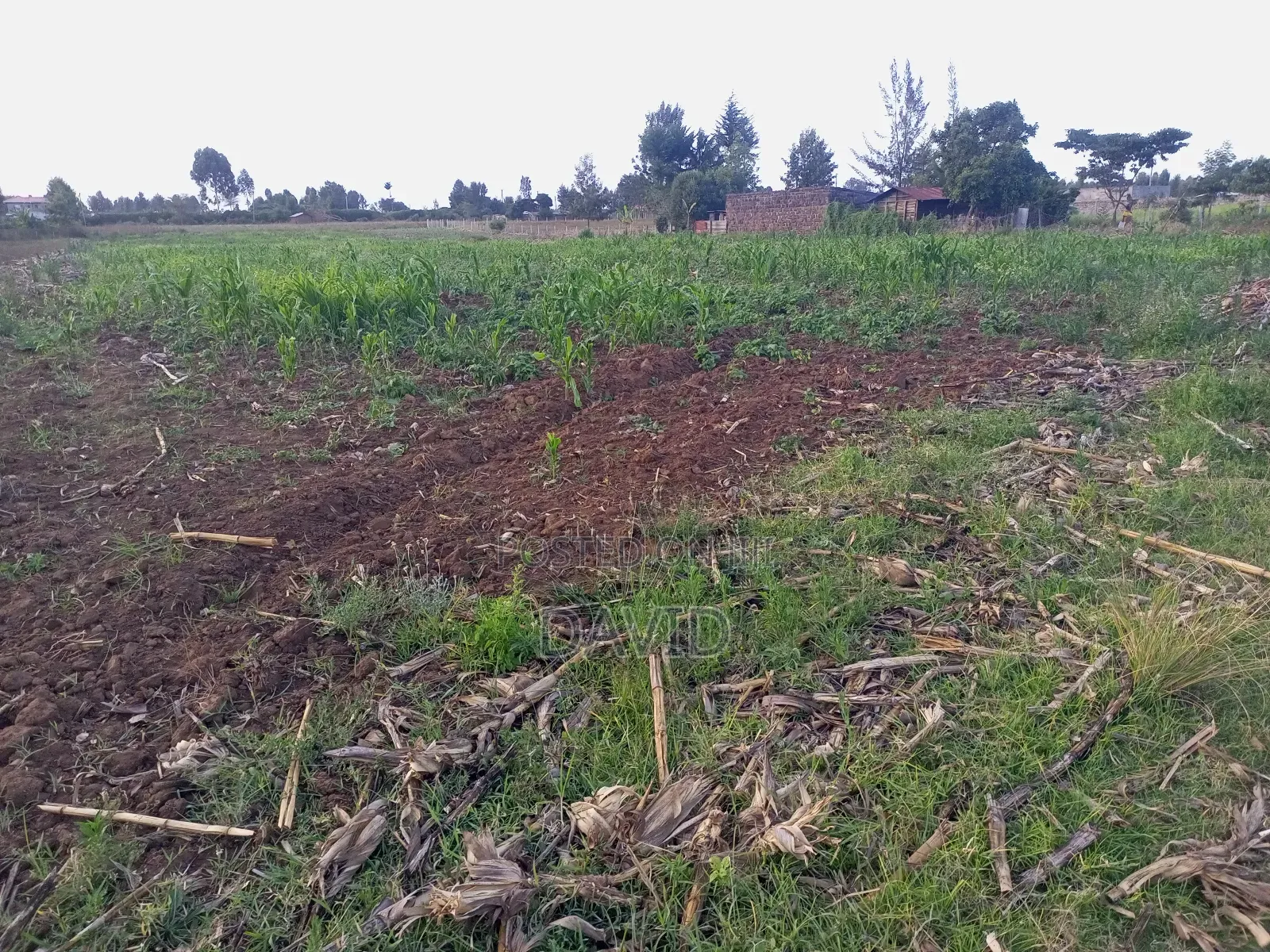 Land for Sale in Njoro Piave