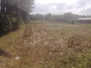 Half an Acre