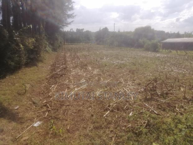 Half an Acre - main view