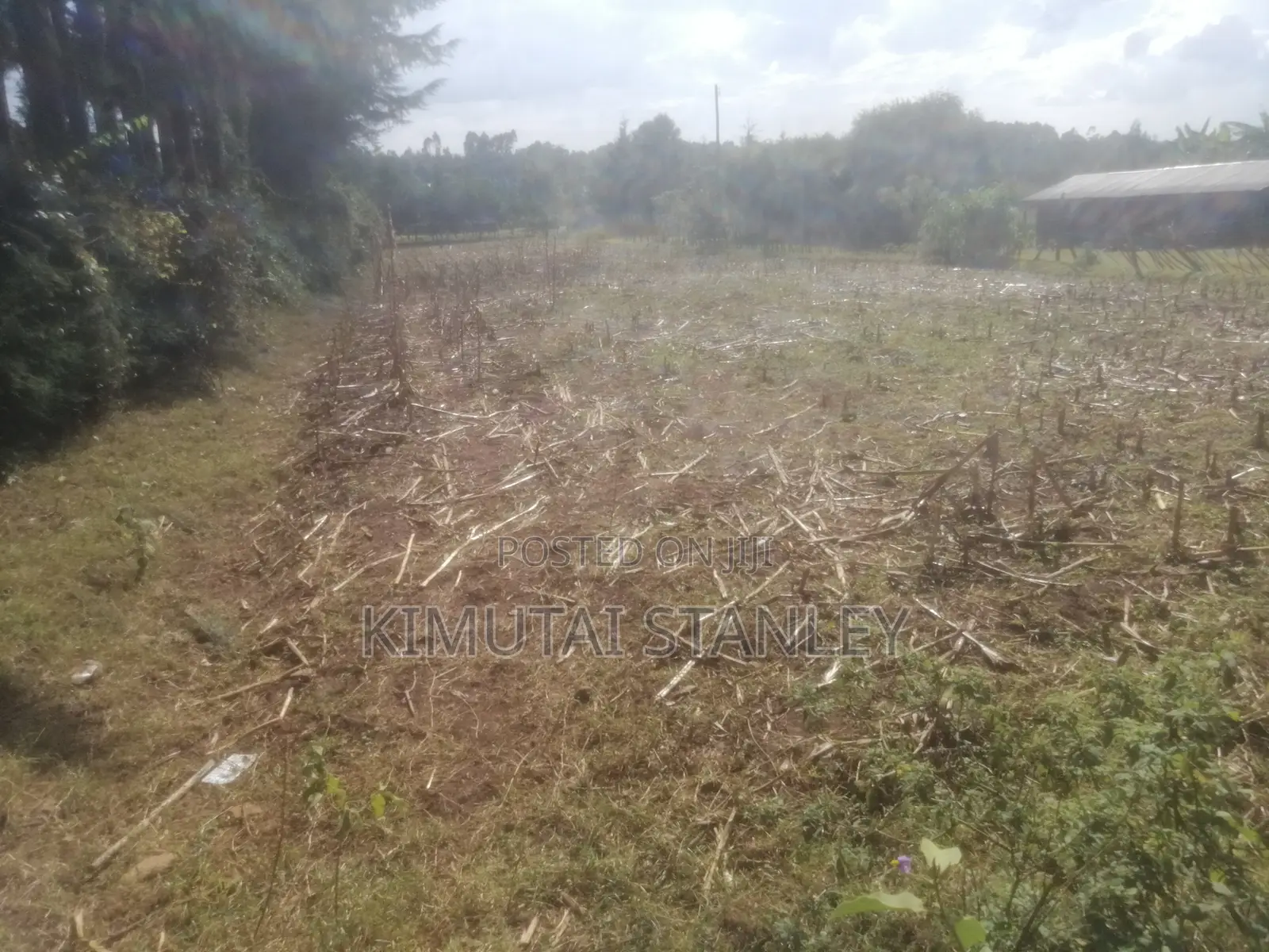 Half an Acre