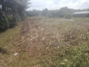Half an Acre