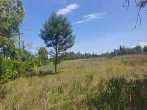 2 Acres in Nanyuki [ Kwahuku ]