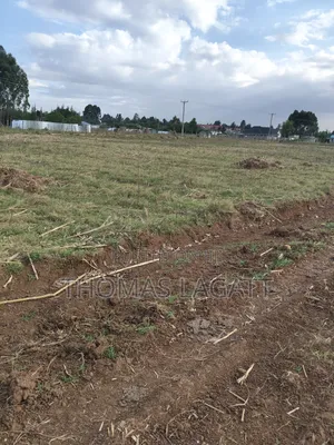 Eldoret Outspan Ancilla Estate