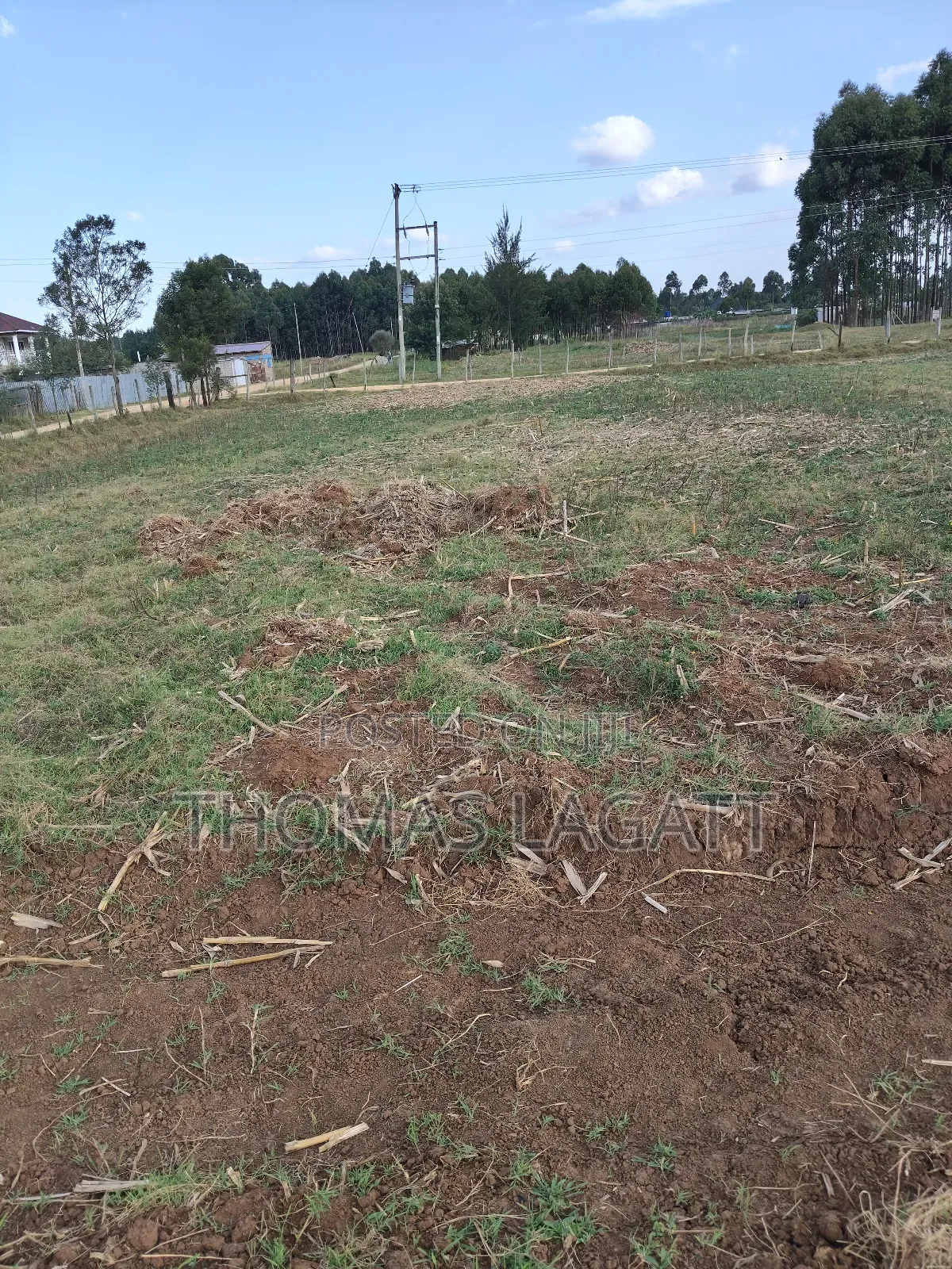 Eldoret Outspan Ancilla Estate