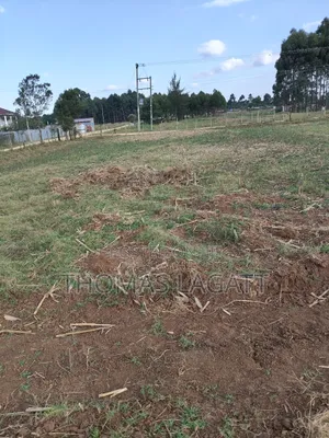 Eldoret Outspan Ancilla Estate