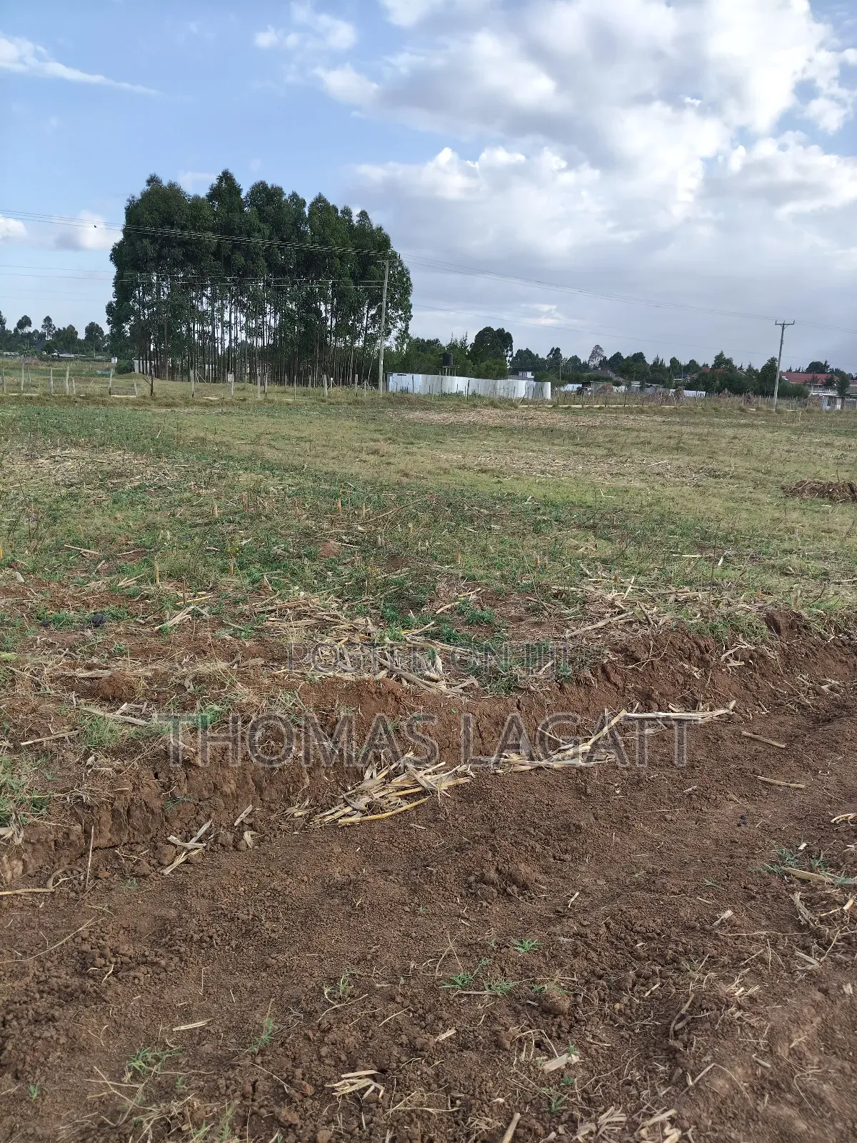 Eldoret Outspan Ancilla Estate
