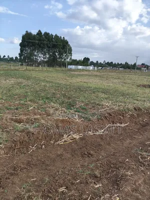 Eldoret Outspan Ancilla Estate