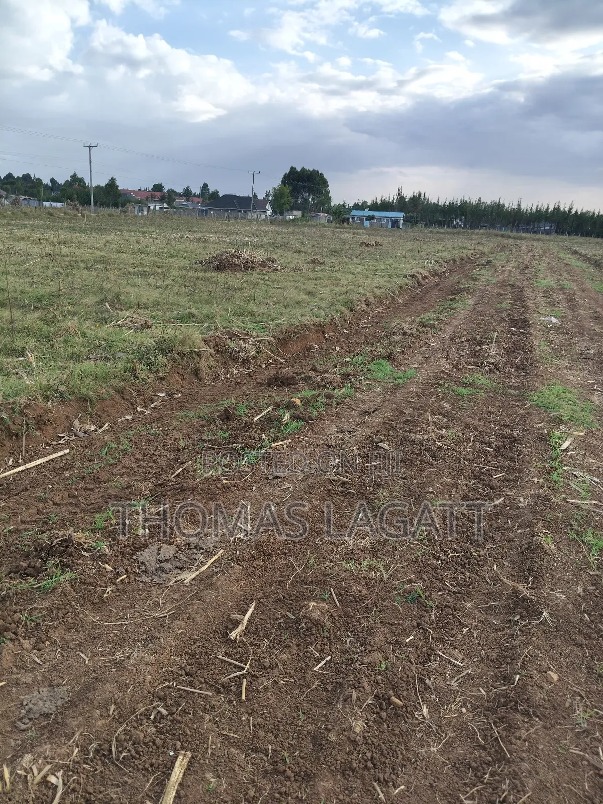 Eldoret Outspan Ancilla Estate