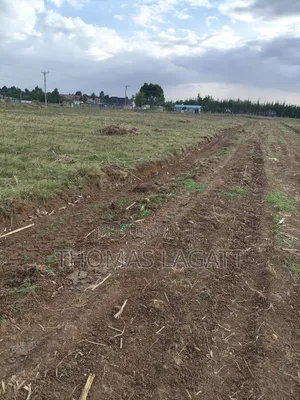 Eldoret Outspan Ancilla Estate